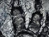 Instructions d’impression pour figurines Evolve