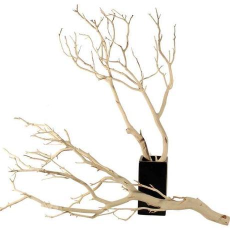 branches Manzanita (500x500)