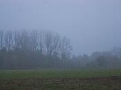 journée appartient ceux lèvent tôt...