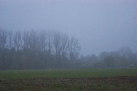 La journée appartient à ceux qui se lèvent tôt...