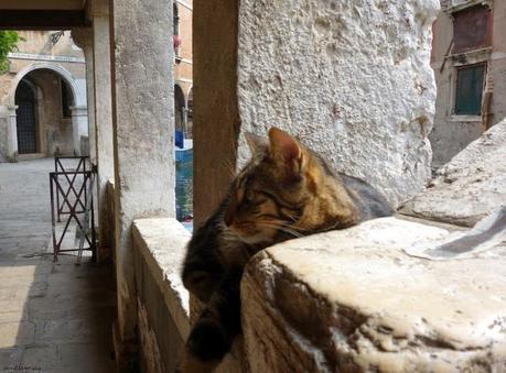 Ponte widmann : c'est mon pont !