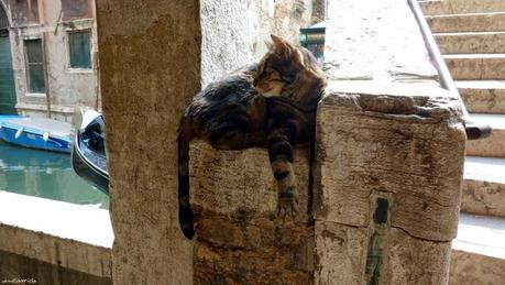 Ponte widmann : c'est mon pont !