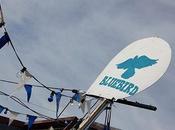 Bluebird Festival 2014