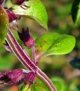 Un petit air de Méditerranée