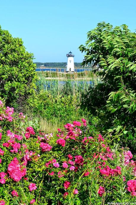 Martha's-Vineyard-lighthouse-discover-usa-travel-blog