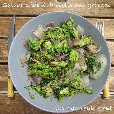 salade brocoli graines