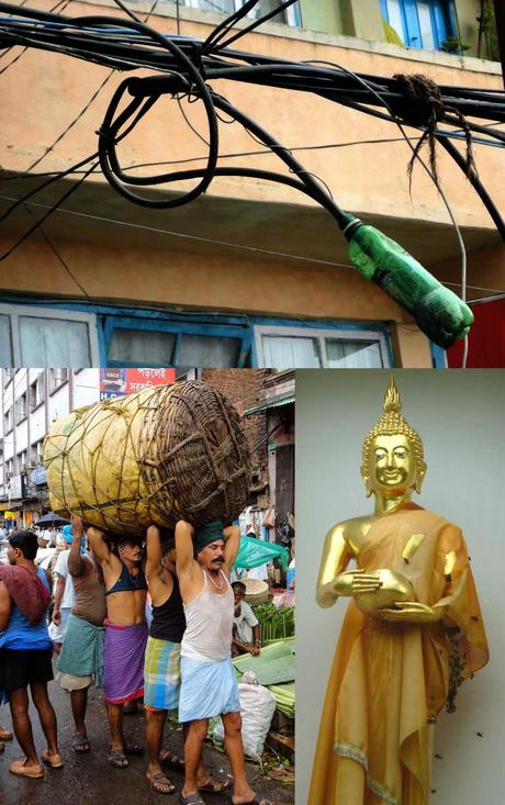 DRÔLES DE RENCONTRES