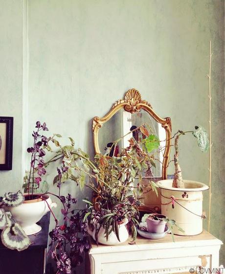 Au dessus de l'école