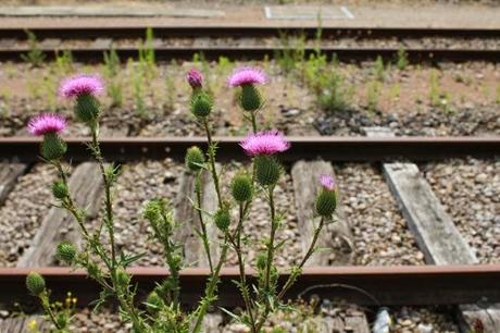 Nancy, aux alentours de la gare