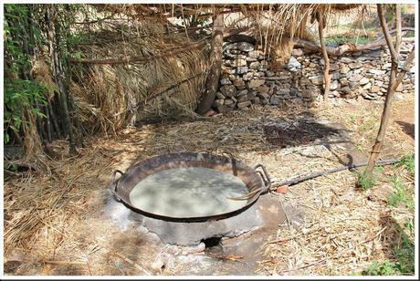 Rajasthan 2ème partie 254