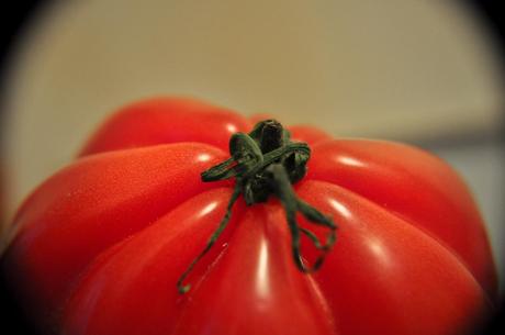 Tomate Coeur de Boeuf 2