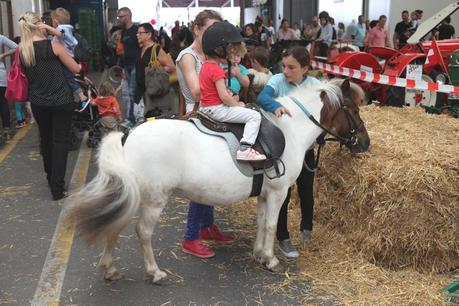 fête de la tomate carouge 2014