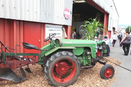 fête de la tomate carouge 2014