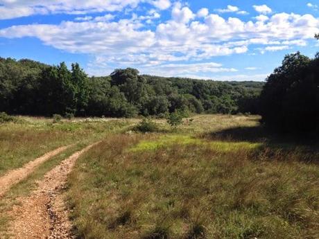 On s'en allait sur les chemins...