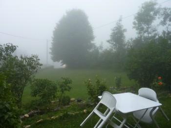 été,été pourri,météo,prairie journal,carnet,note,écriture de soi,passereau,fête,kermesse,ballon,vélo,tour de france,pluie,brouillard,juillet,état d'âme,lièvre,renard,félin,blog littéraire de christian cottet-emard,ver luisant,lampion,idylle,goutte d'eau,évier,bilan,dévouement,bénévole,vie associative,association,automne,hiver,lumière,obscurité,ombre,ténèbres