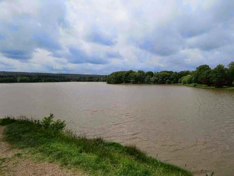 Road-trip en Bretagne : Brocéliande