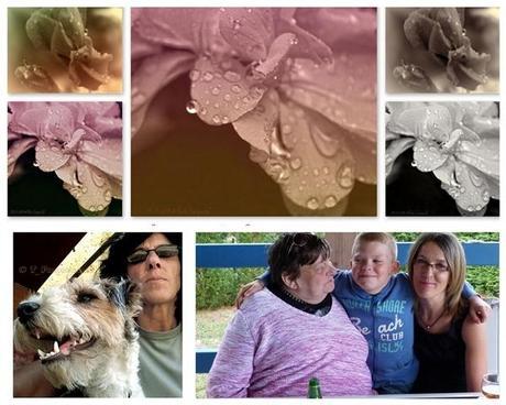 Mon Blog à Moi, Evelyne  ~  T-Photographe  ~  Mamy Soren