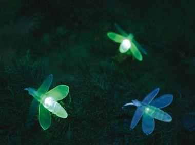 La Promenade des Lucioles La Promenade des Lucioles
