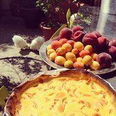 Les bonheurs simples : tartes aux abricots du jardin, pèches de vigne du jardin et Charlie & Lulu qui picorent... �☀️��