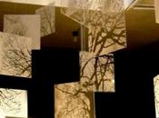 L’Arbre Espace d’exposition Chédigny (37310) exposition Jean-Louis MAGNET 18/27 Juillet 2014