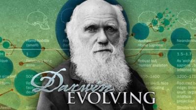darwin,sciences,évolution,biologie,espèces,génétique,gênes