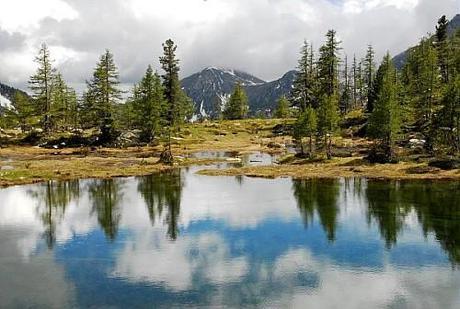 Reflets de nuages dans le lac de Graveirette, (2239 m), le mont Archas, (2526 m), un peu caché par les nuages, puis la cime de la vallette des Adus, (2449 m), dans le vallon de Mollières. Mélézin clairsemé sur les bords du lac.