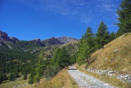 Sentier ou piste dans le bas de Fontanalbe en été. Au fond, le Mont Bégo.