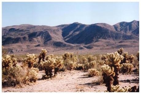 Anza-Borrego: une tranche de désert californien