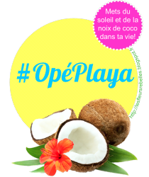 Vamos a la playa ! #OpéPlaya avec Les Fleurs Rebelles