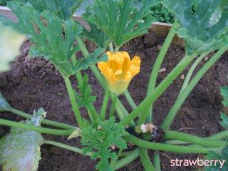 Image and video hosting by TinyPic