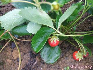 Image and video hosting by TinyPic