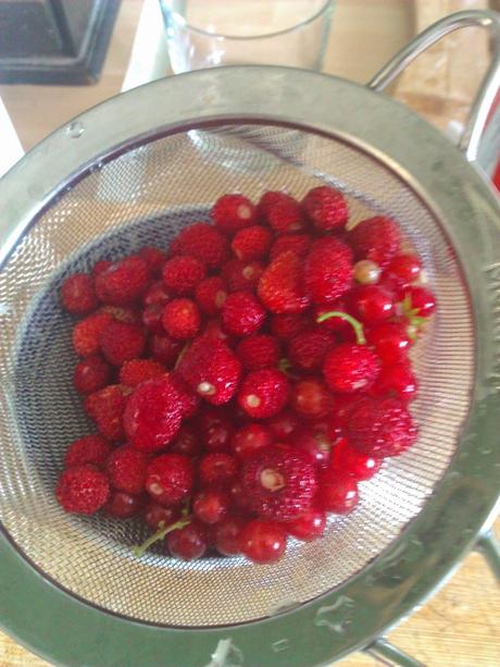 mes p'tites verrines de fruits rouges