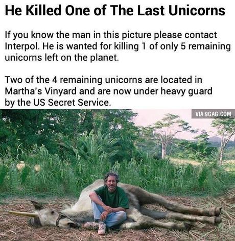 unicorn Ce chasseur a tué une des dernières Licorne