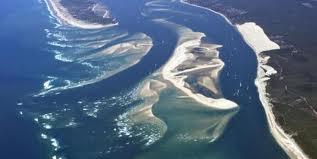 Parc marin du bassin d'Arcachon,
