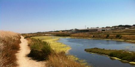 priorité pour que les retais restent sur l'ile de ré