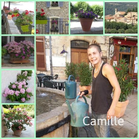 collage camille