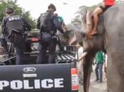 assassins Khlao l'éléphant, arrêtés malmenés [HD]