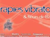 Philippe Barraqué Thérapies vibratoires fleurs Bach (coffret)