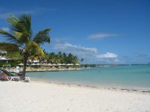 liberté indépendance financière