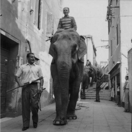 Le Circo Togni à Venezia, le 19 juillet 1954