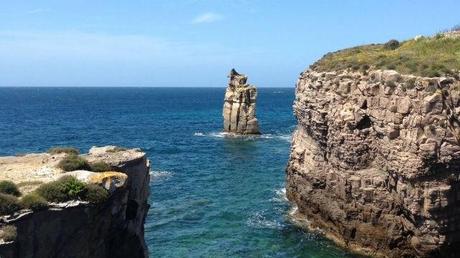 Photo (c) Amaury van Hoorebeke