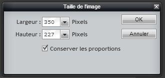 taille image pixlr