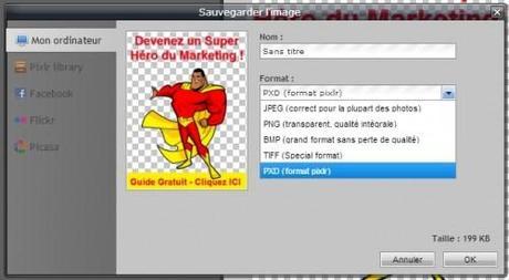 Apprenez à réaliser en 5 minutes chrono une publicité pour votre site web… et pour 015 € seulement ! enregistrement image