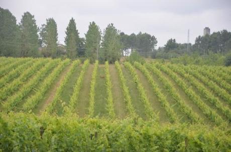 stéphanie roussel,lassolle,côtes du marmandais,romestaing,ad naturam