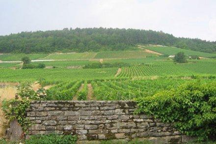 Les champs français, nouveau placement des sociétés financières Les champs français, nouveau placement des sociétés financières