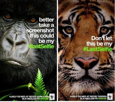 #LastSelfie : La campagne choc de WWF