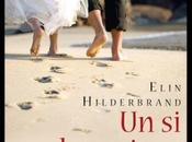 beau jour Elin Hilderbrand