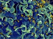 VIH: virus constitue réservoirs avant commencer circuler Nature