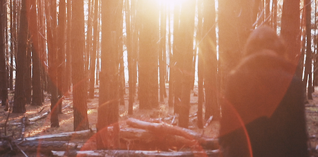 musique du jour :Message To Bears