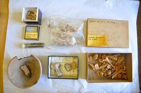 Des objets d'une ancienne cité sumérienne trouvés dans un placard